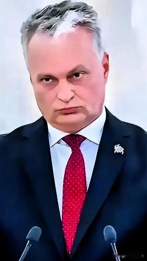 还要点脸吗！立陶宛总统瑙塞达为了推脱责任，2月12日他对着立陶宛国家广播电视台公