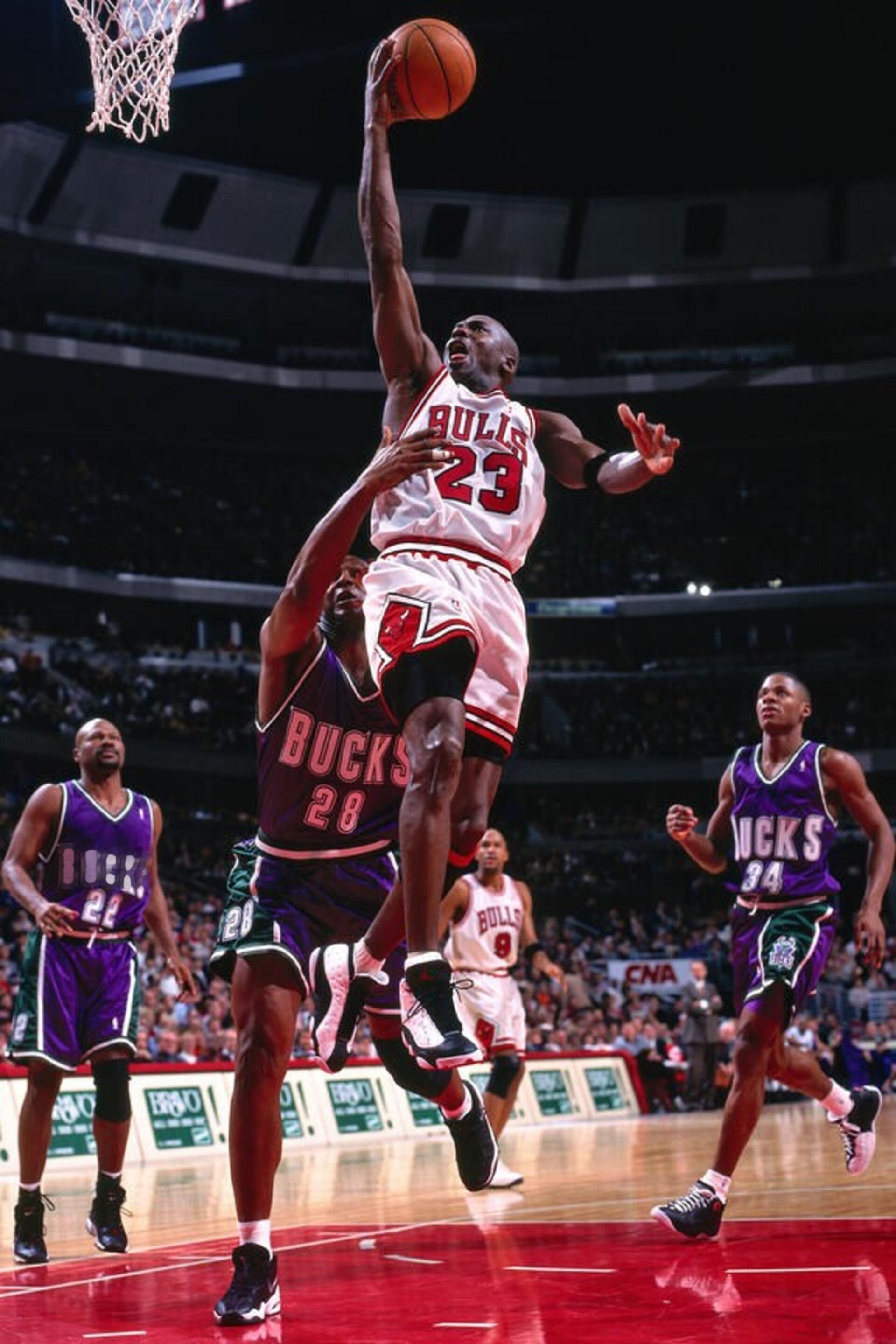 Mcihael Jordan 大熊猫 楼都拦不住 