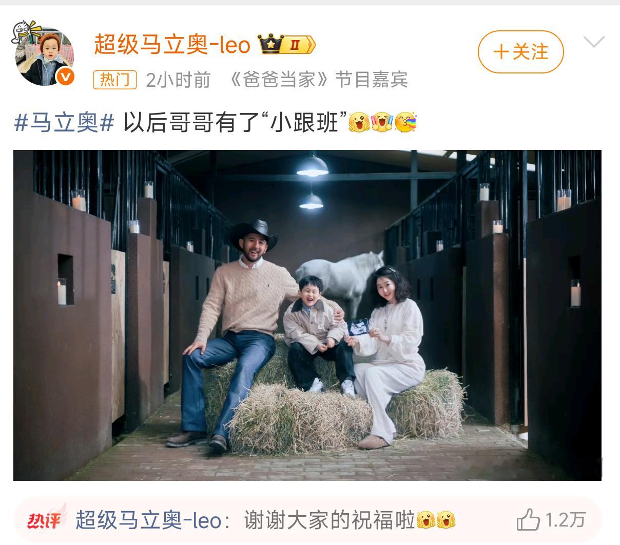 马立奥要当哥哥了 过几年又能上节目了哈哈哈哈马立奥一定会是贴心的哥哥的[送花花]