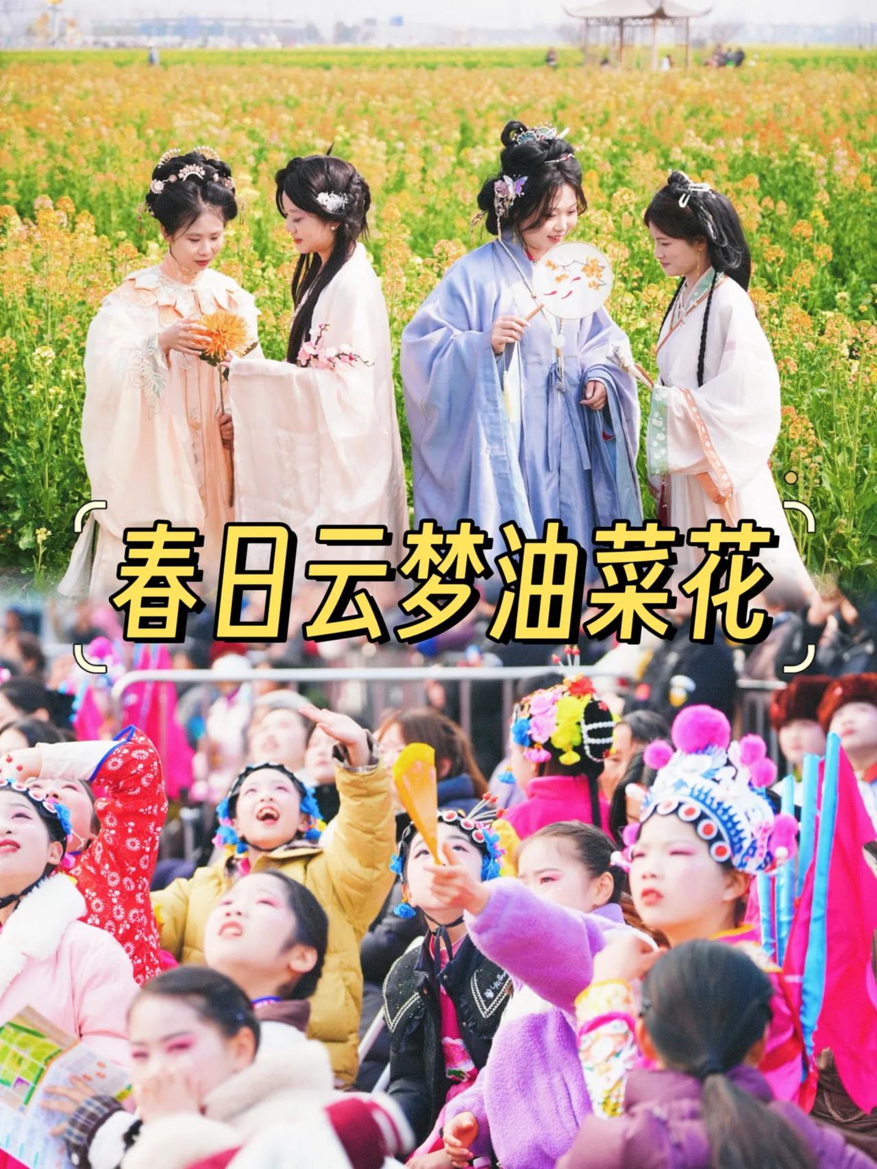 湖北云梦县2025年油菜花海文化旅游节盛大启幕啦！
油菜花节活动将持续两个月，旅
