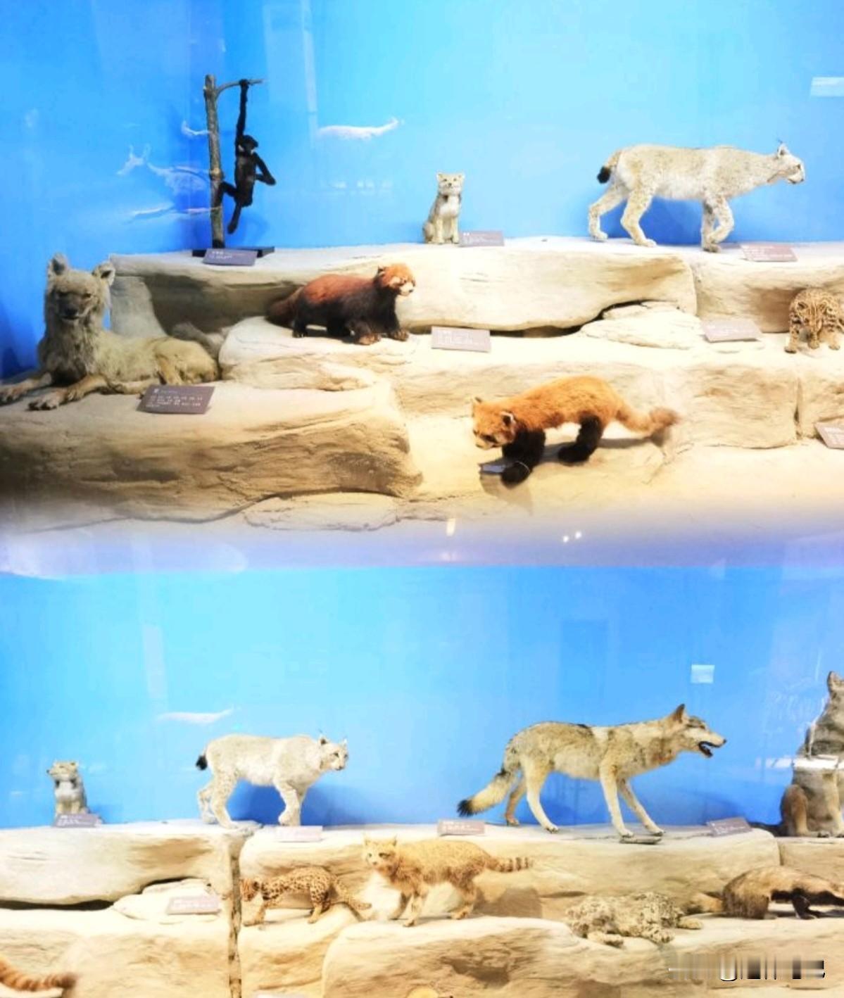 冬日生活打卡季有的时候出门转一转，其实不知道去哪里的时候，我觉得博物馆就是一个非