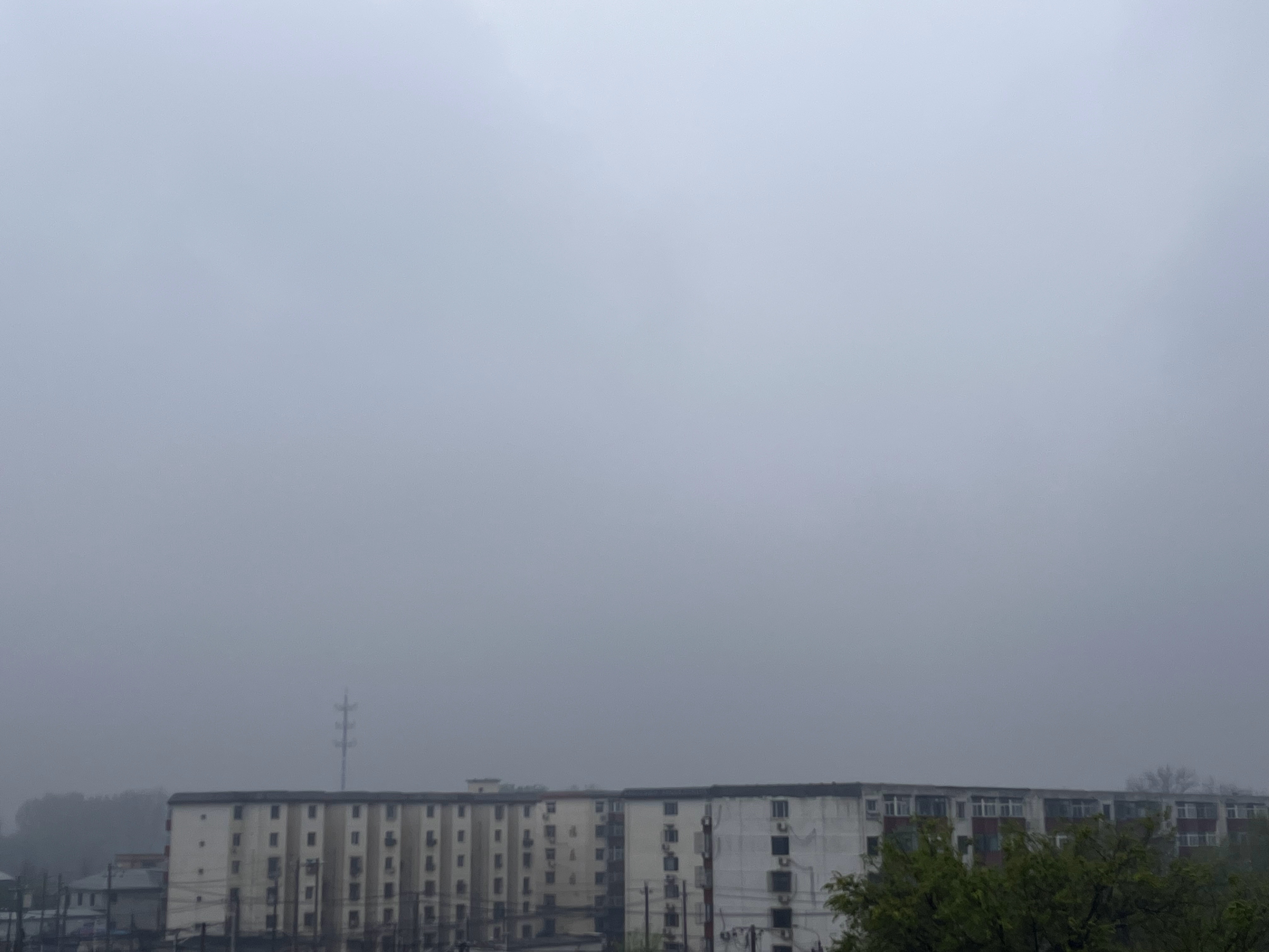 灰蒙蒙的天啊，这雨稀稀拉拉的要下一整天的节奏了！ 