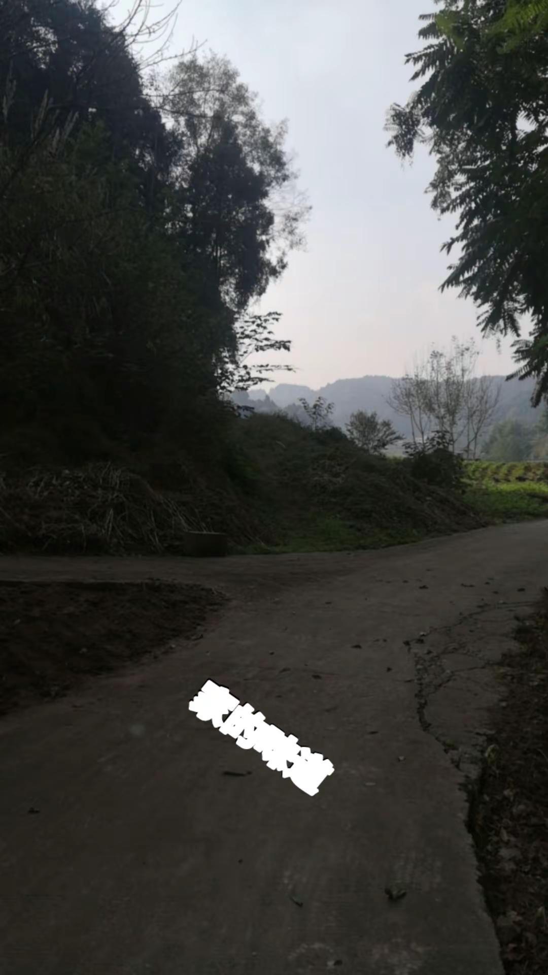 记录我的生活 山青水秀好地方 大山里的生活 山里空气真好 大山里的风景就是这么美