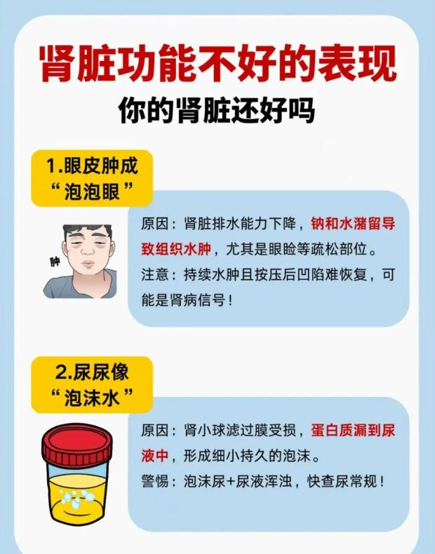 肾功能偏弱的常见表现，你的脏腑状态还好吗