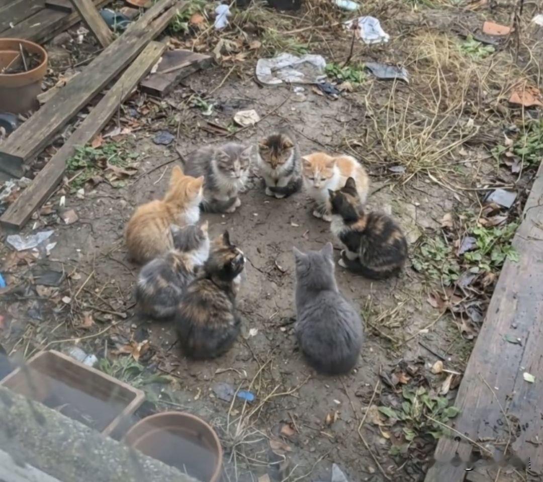 开了个早会！