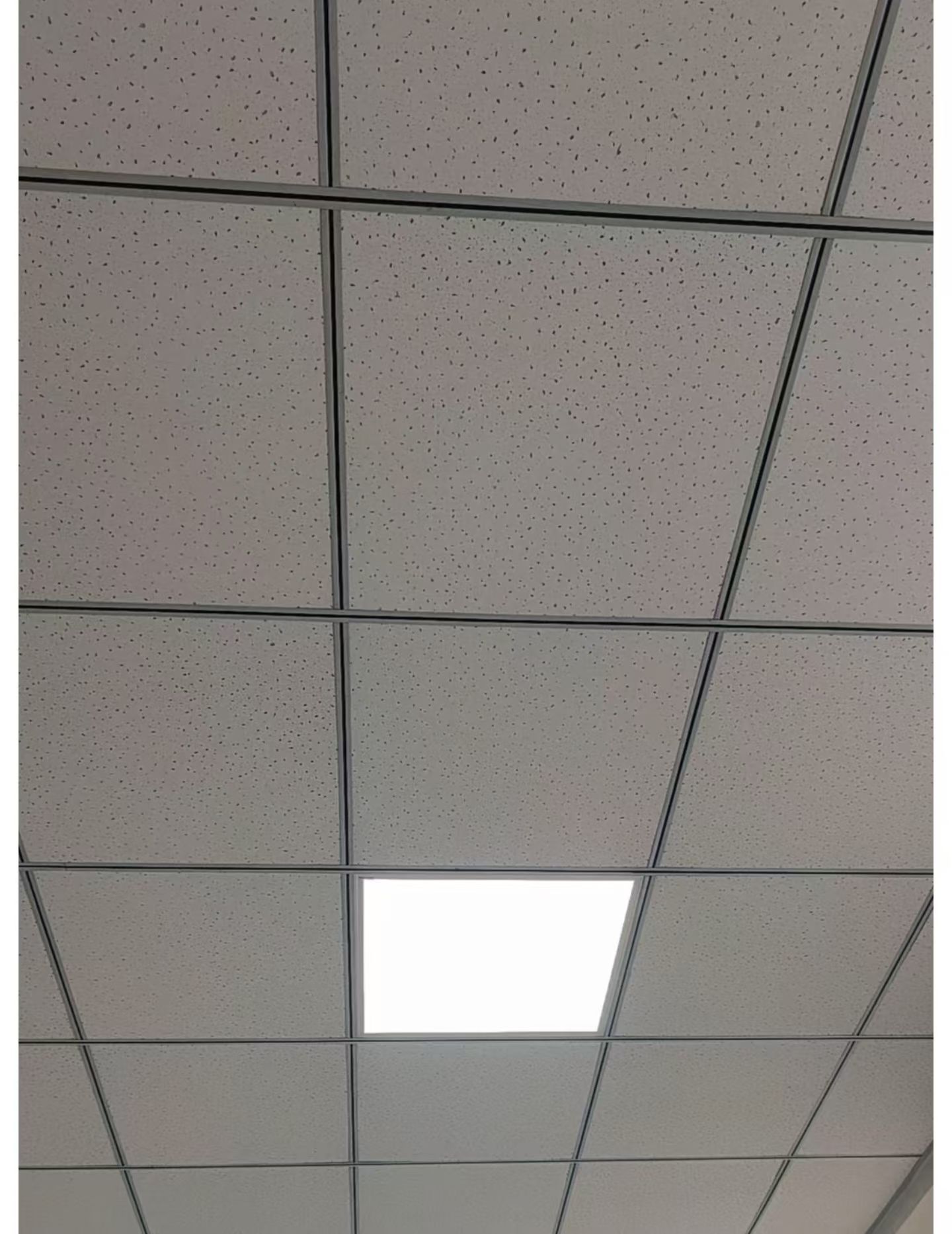 据说还没放假的公司，天花板都长这样