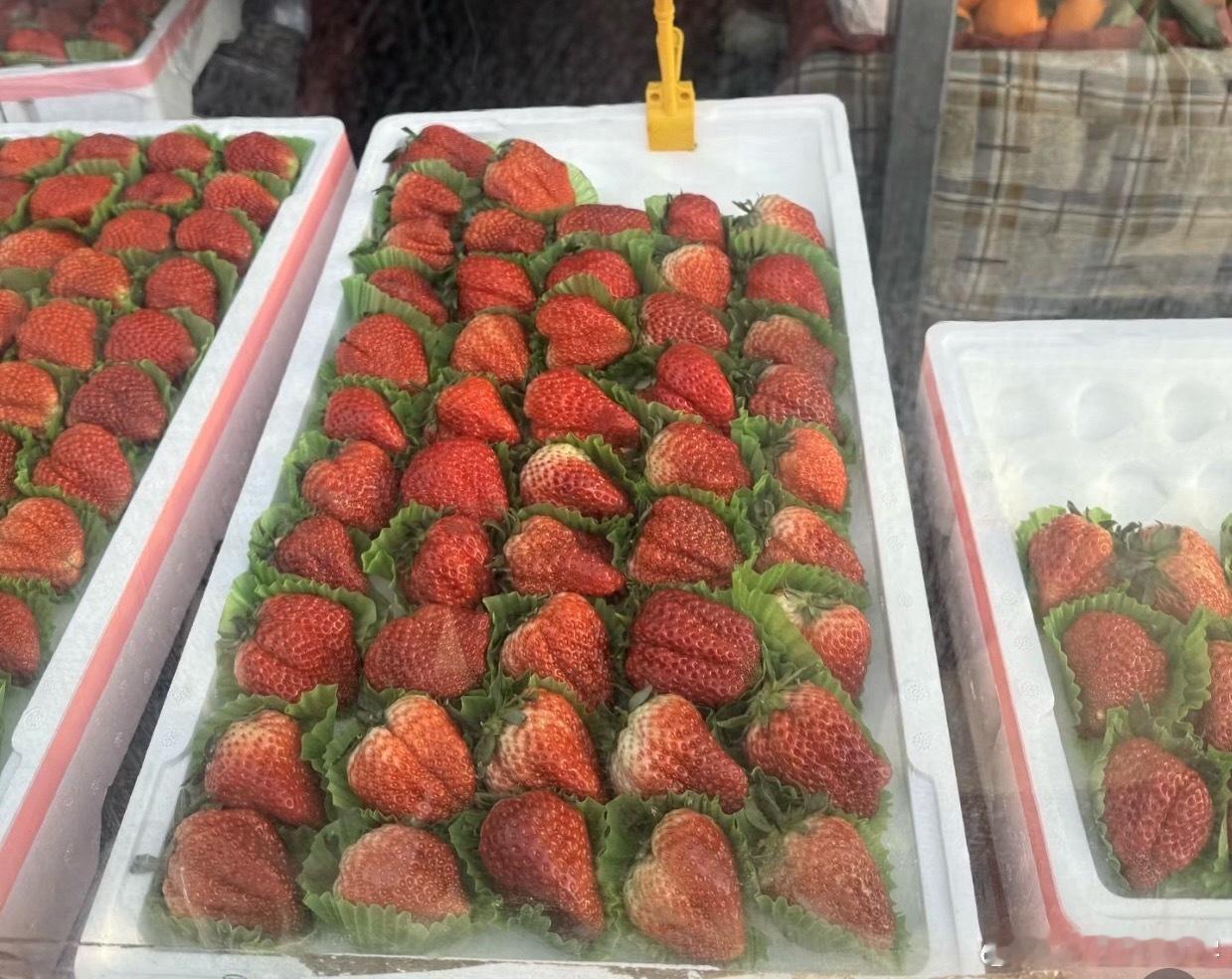 草莓价格跌至1元一斤这价格到底上哪儿买呀？我就在武汉，知道的朋友给个位置，马上去