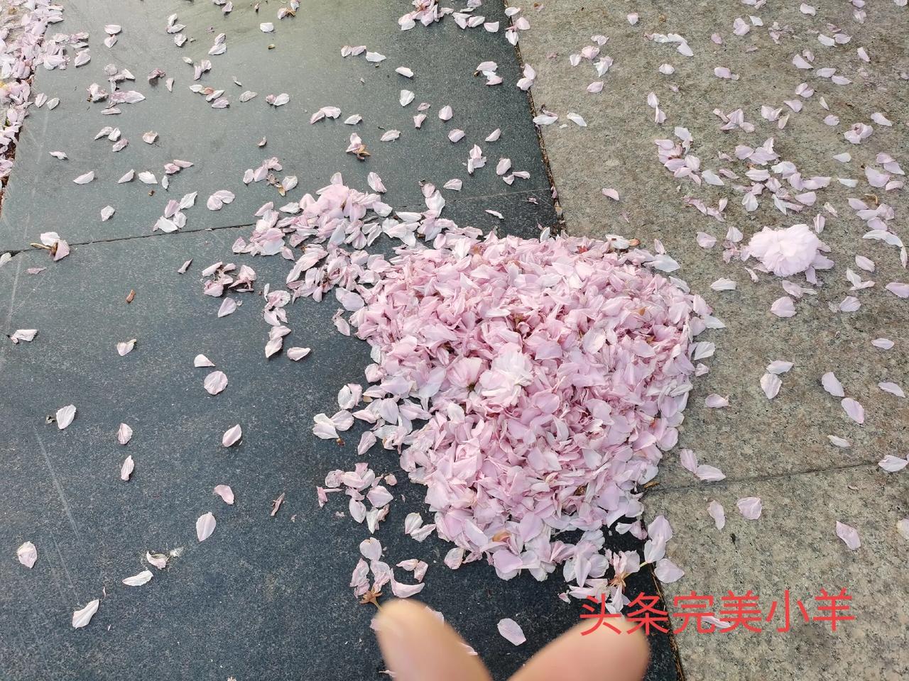 在慢慢变老的路上，你还会学习吗学习是一辈子的事情，活到老学到老，没有躺平的命，就