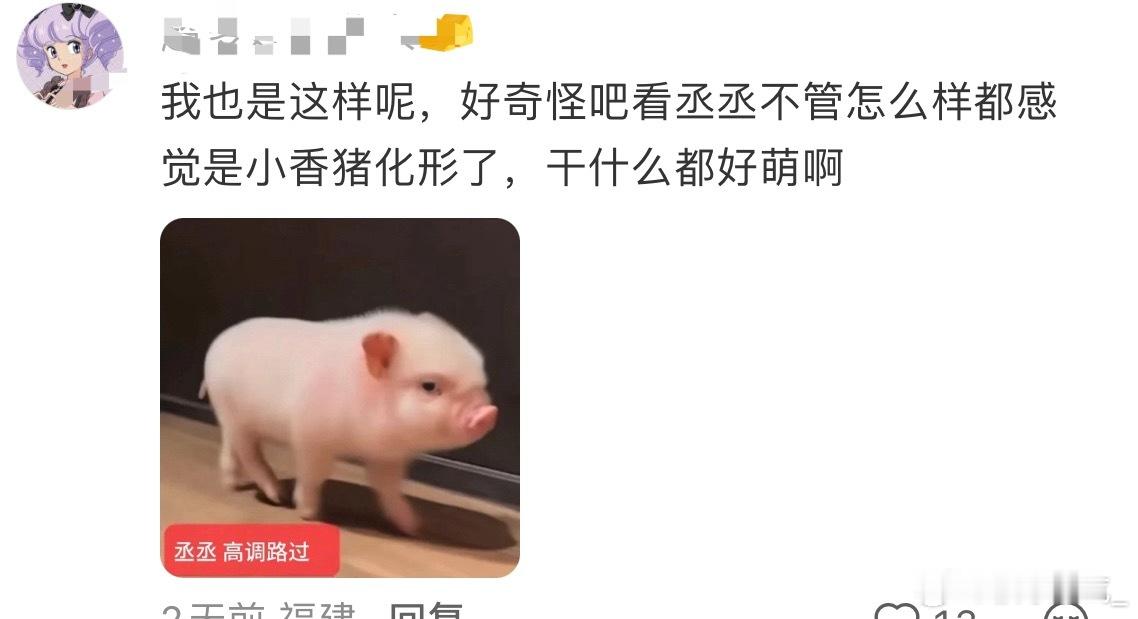在xhs刷到这个帖子我真的要被萌鼠了，把层层当无性别小猪小猫小狗 