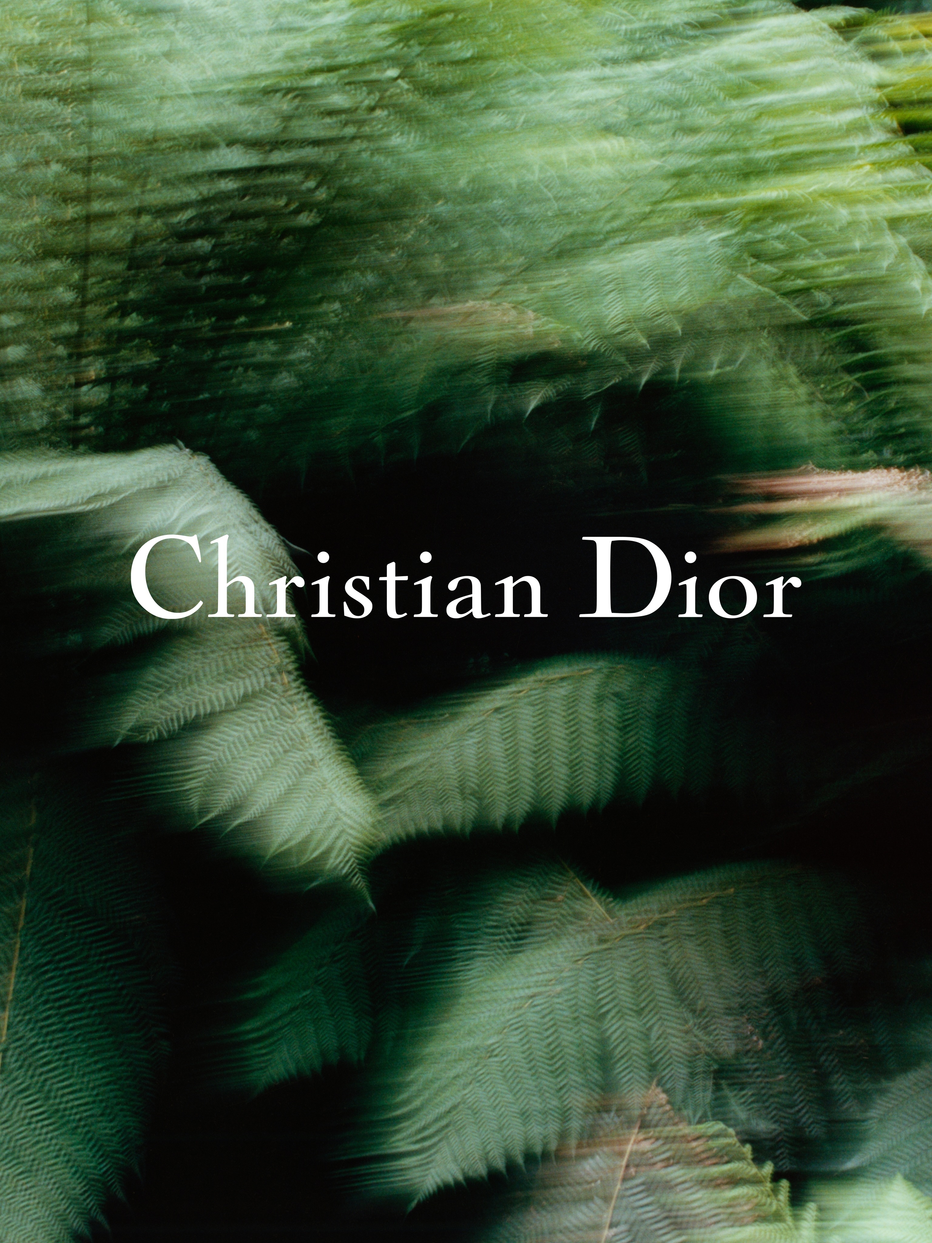 热带雨林中的Dior 迪奥二零二六秋冬高级订制大秀即将于巴黎罗丹美术馆重磅启幕，