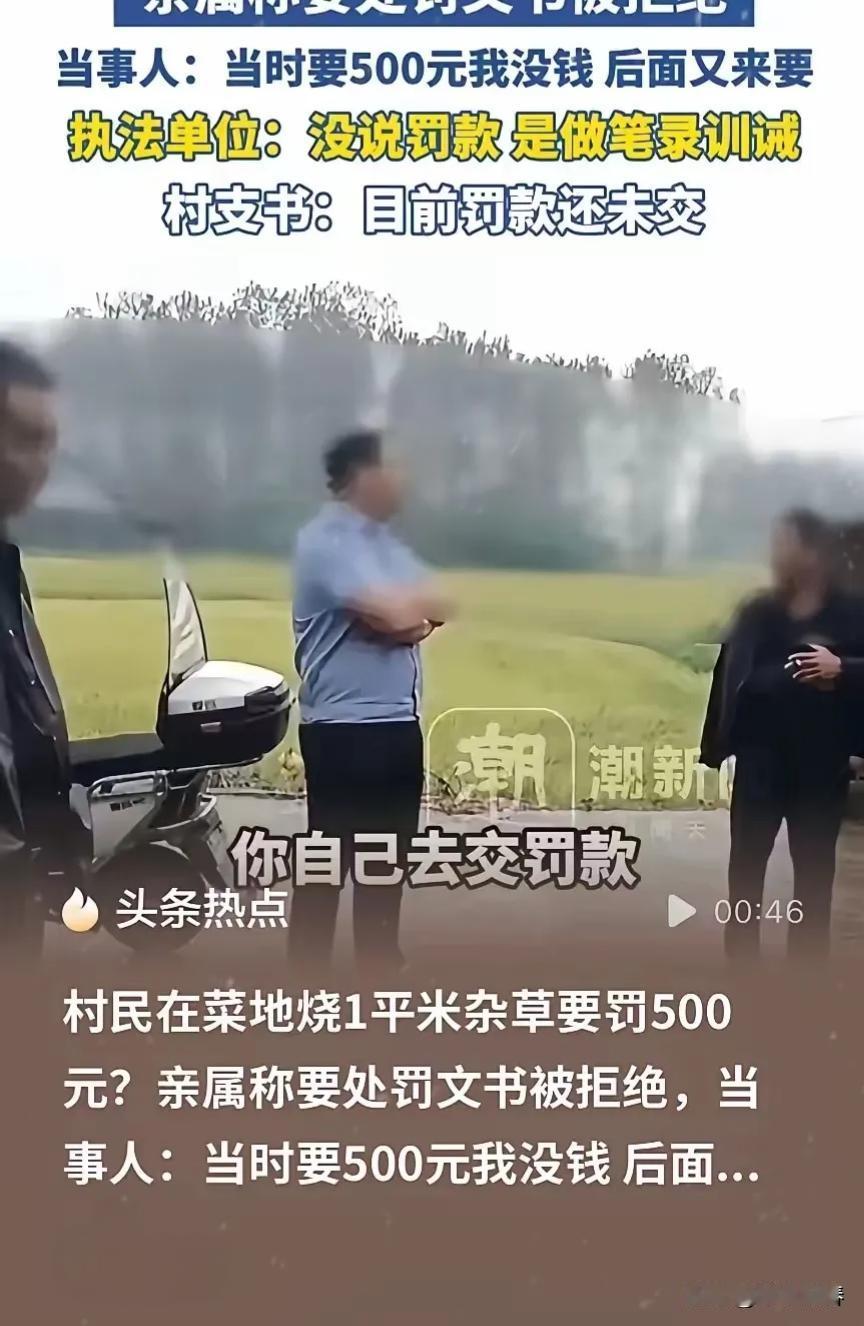 河南固始，女子贺女士患恶性肿瘤在家养病，为节省开支，在自家菜地种菜自给自足。除完