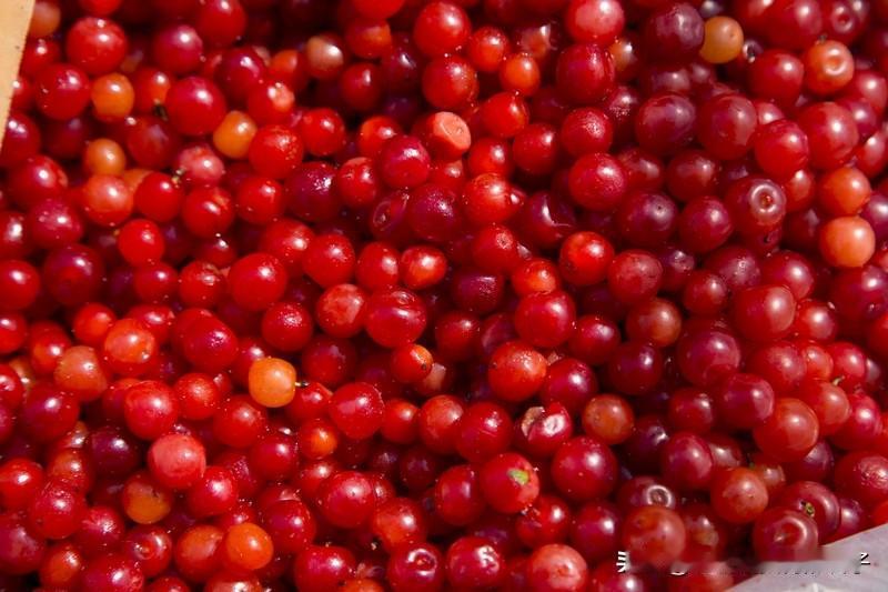 你说，人老了怕什么