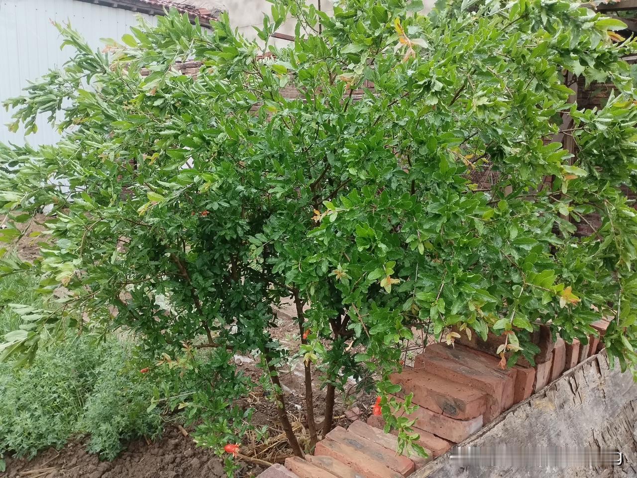 众友友早上好！
今天是5月17日，日出时间4.58分，日落时间7.15分，白天最