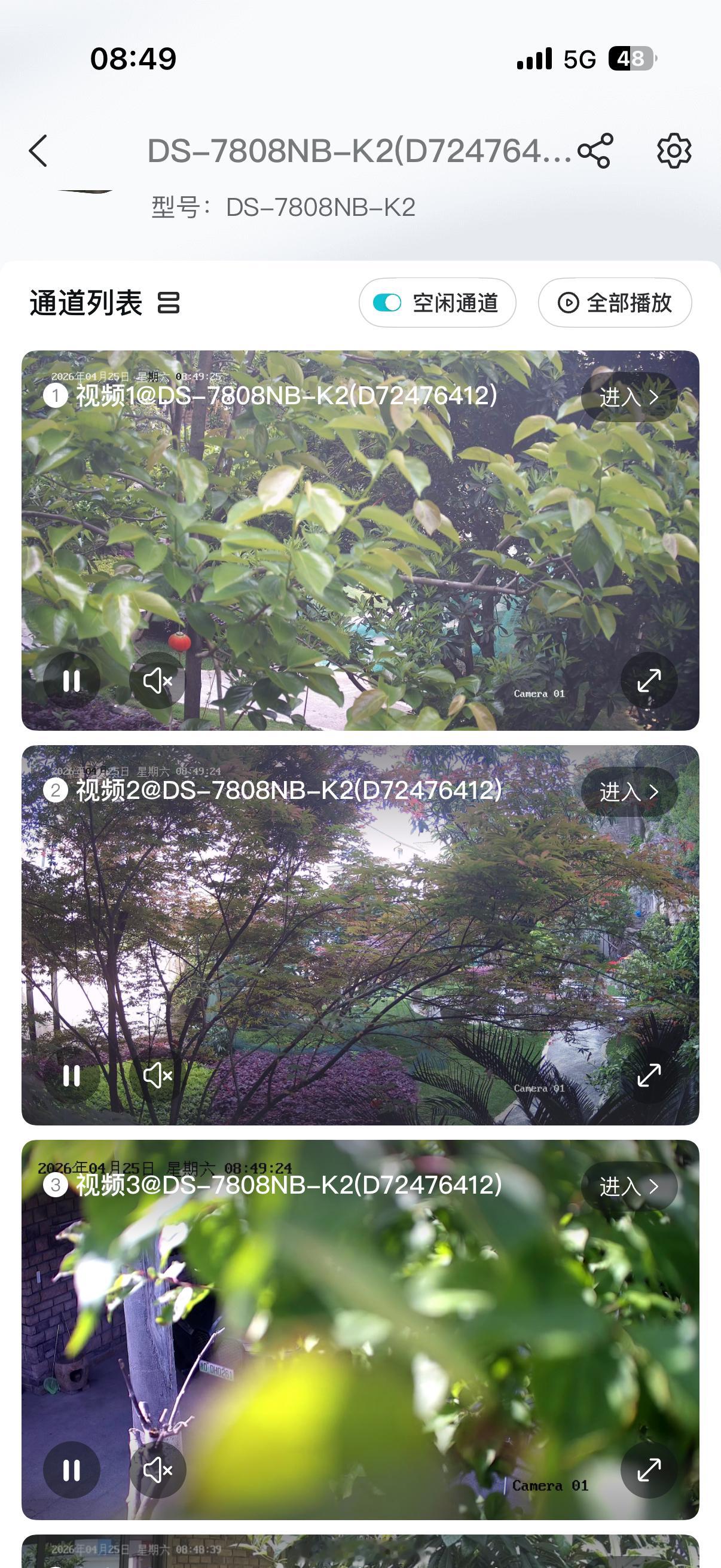 装修避坑 之前装监控的时候忽略了植物的生长能力监控装得不够高 