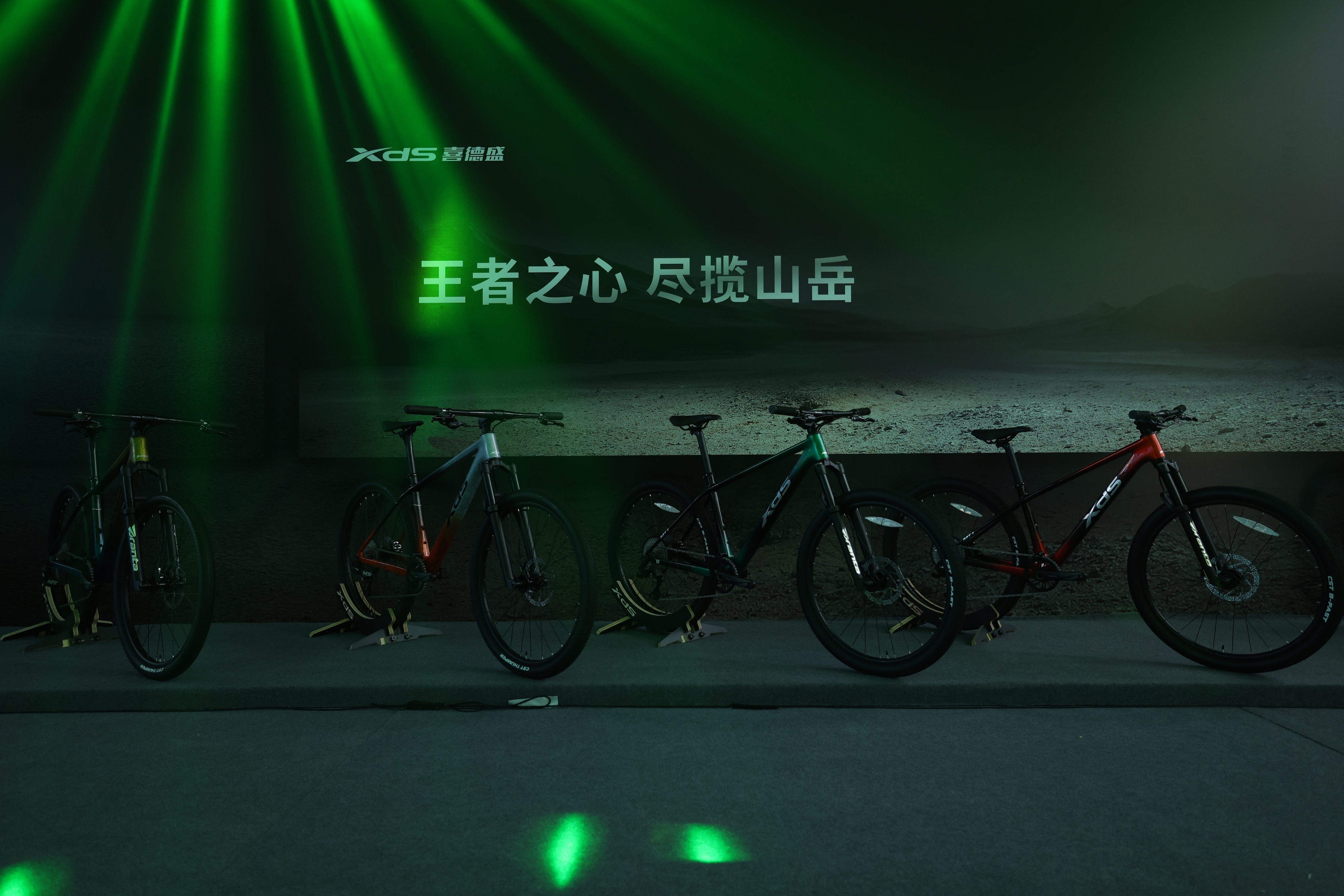 功率计真香警告！喜德盛AD350喜德盛2025春季新品发布会喜德盛新品发布会作为