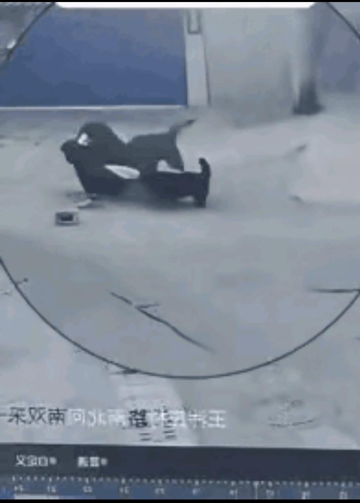这娘俩被狗咬的不轻，女人开着车带着孩子回家，下车的时候走在路边，看到一条黑狗，其
