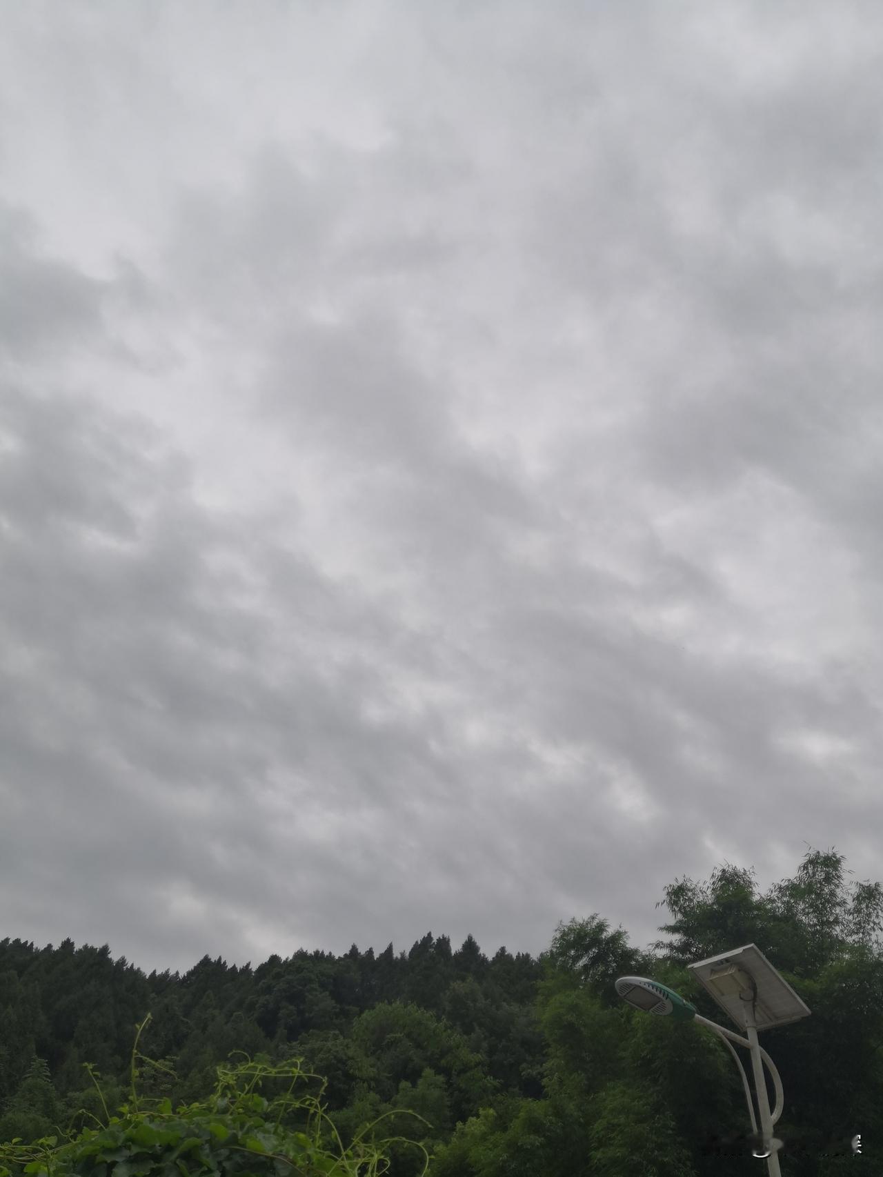 德阳市天气预报，今天是高考的第一天，祝考生们有个好心情，考出好的成绩来。德阳市北