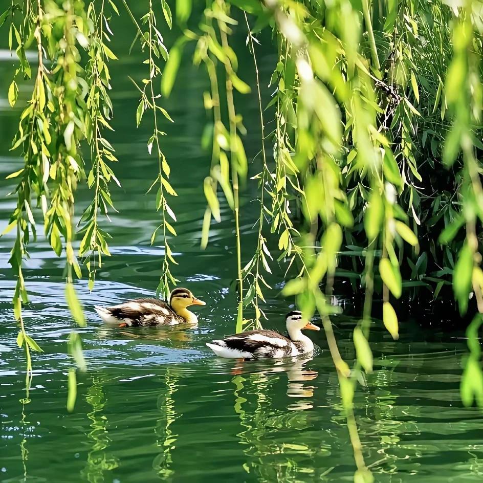 最是人间好时节。红了樱桃，绿了芭蕉。当时明月在，曾照彩云归。