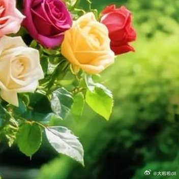 红尘烦扰，经历了，感悟了，看破了，参透了，人生最美还是淡然，别让生活耗尽了你的耐