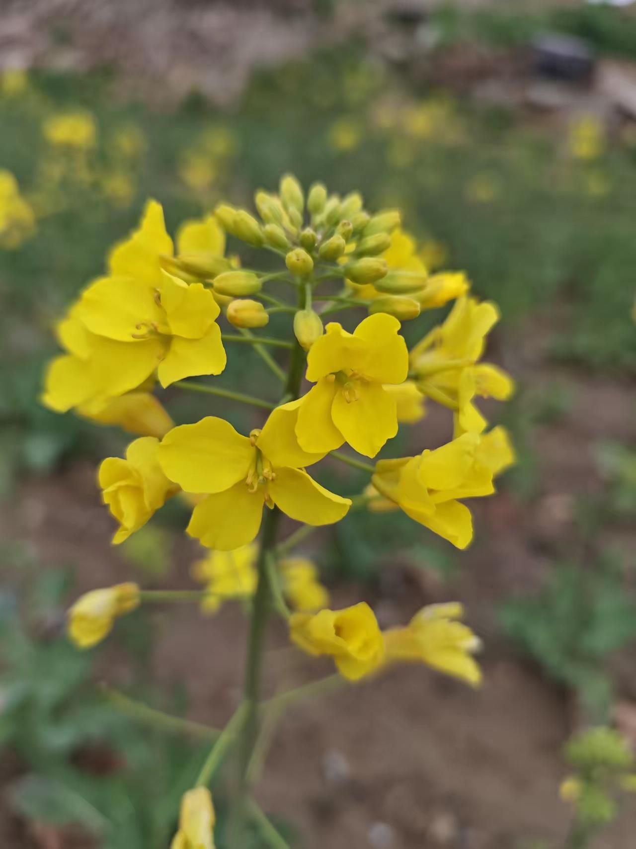 再也不敢买路边农民的自种菜了，

看完315才知道，这里面的安全隐患太大了！
 