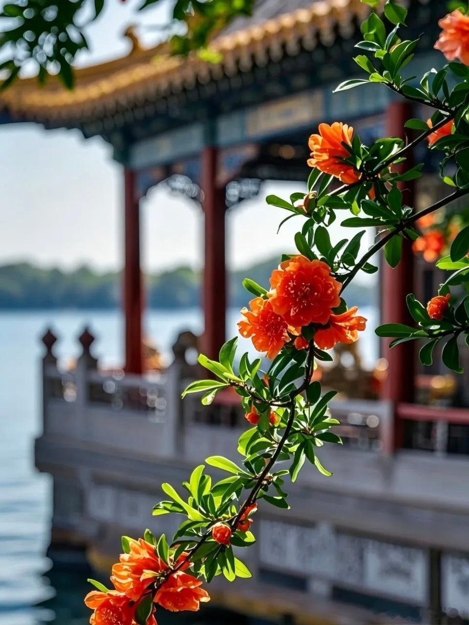晴日正好，花开正盛～寻美中国寻美河南
