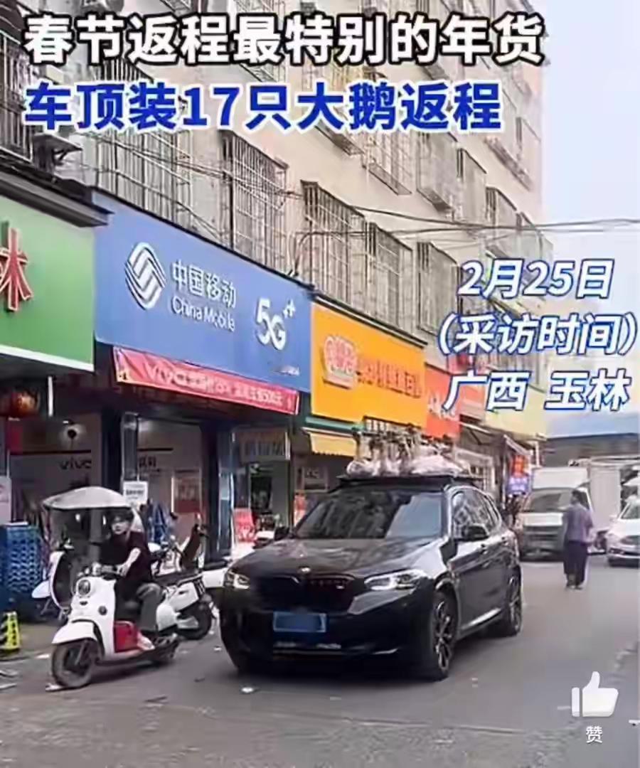 当我们还在为城市的喧嚣和快节奏生活焦头烂额时，有没有想过，有些人却在用最简单的方