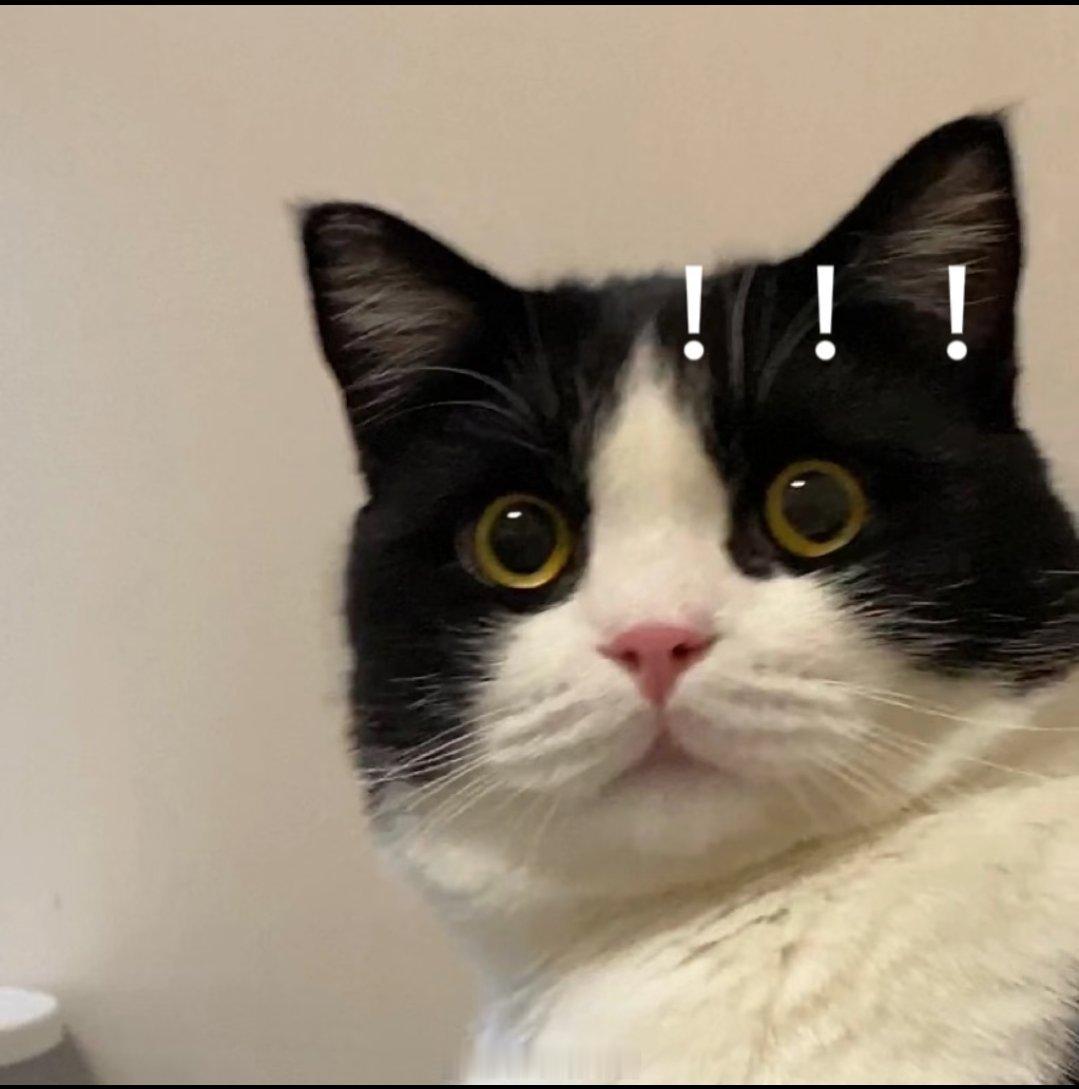 真的假的 平板可以吗？下次出门试试看