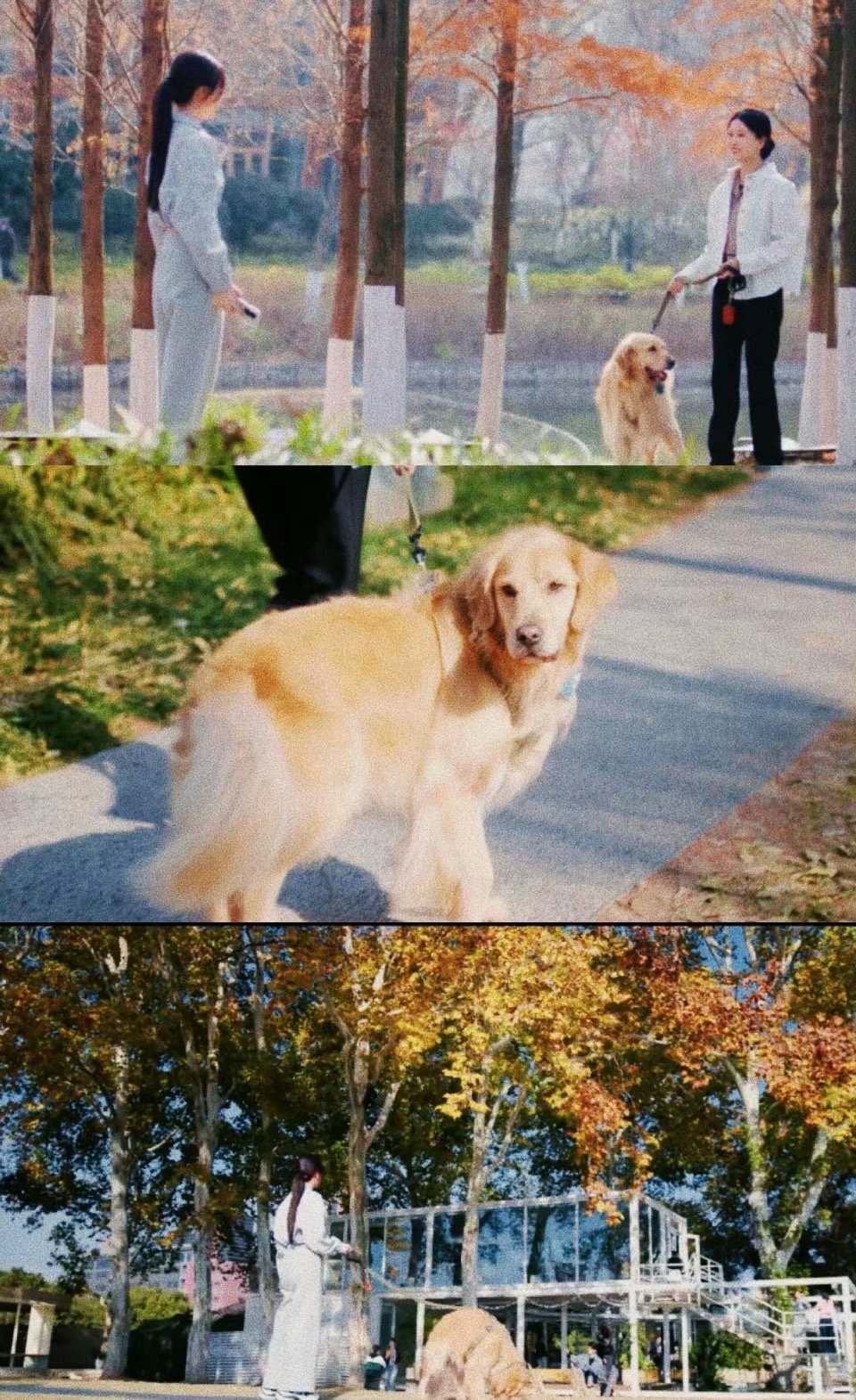 我的cp重逢靠汪汪队立大功咱就是说这个闪电以后朝朝暮暮结婚它必须做主桌啊！小情侣