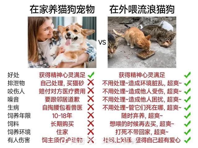 有人说只投喂不收养，就是耍流氓，在获取心灵精神满足的情况下，不用负责任。想喂的时