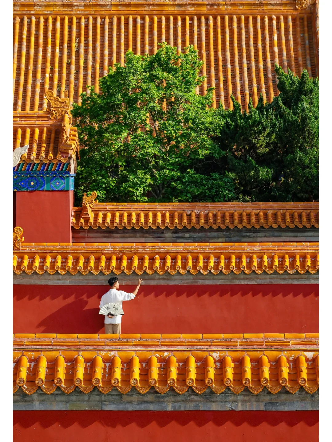 六月地坛公园🔴藏着北京封神的夏天🍃附地图