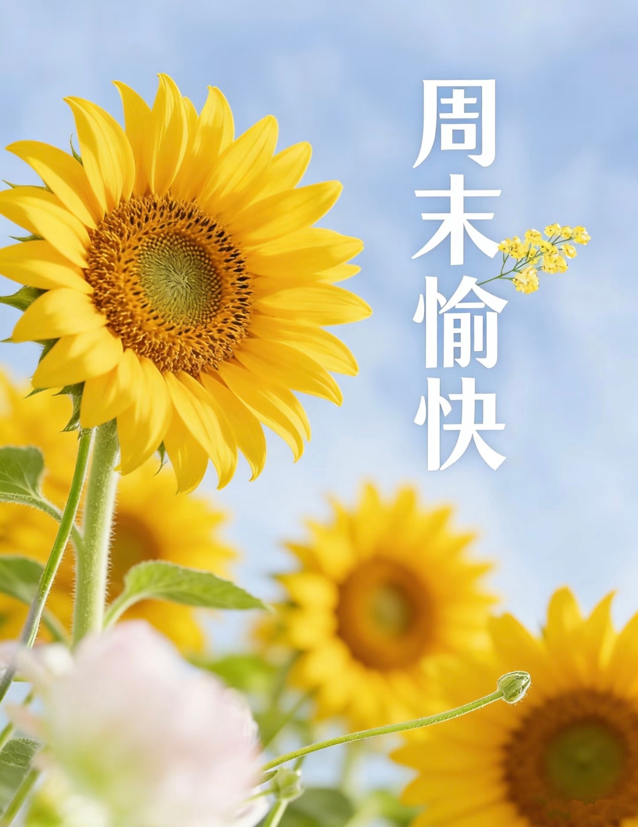 周末愉快😊好好放松一下自己吧，愿都有好心情～ 