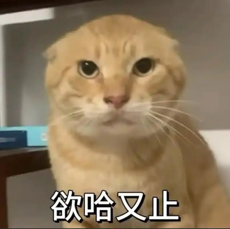 都不用看，阿B肯定会连夜修复这个漏洞[春游家族]B站回应拉黑指定用户屏蔽开屏广告