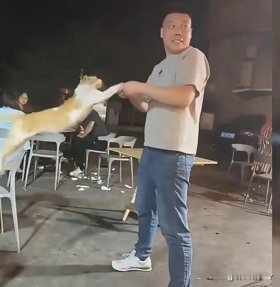 大排档里的这一幕，看得人火冒三丈，男子醉酒之后，竟肆意抓起餐桌下觅食的流浪小猫，