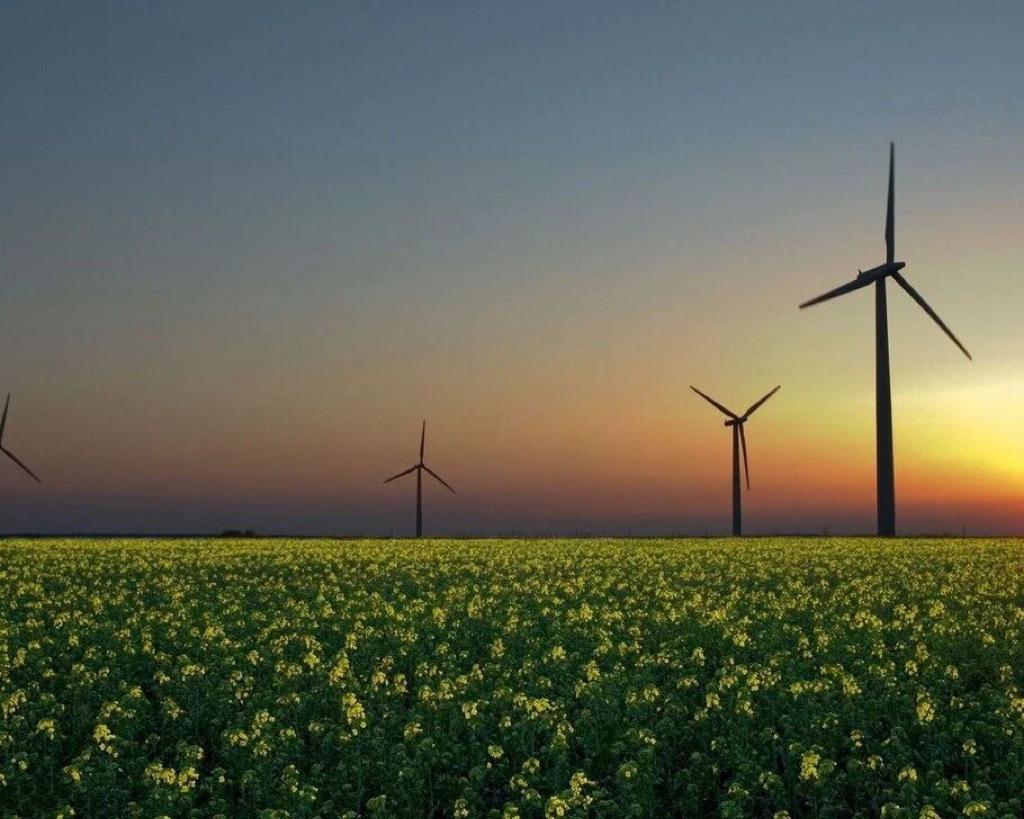 黄昏中看风车……