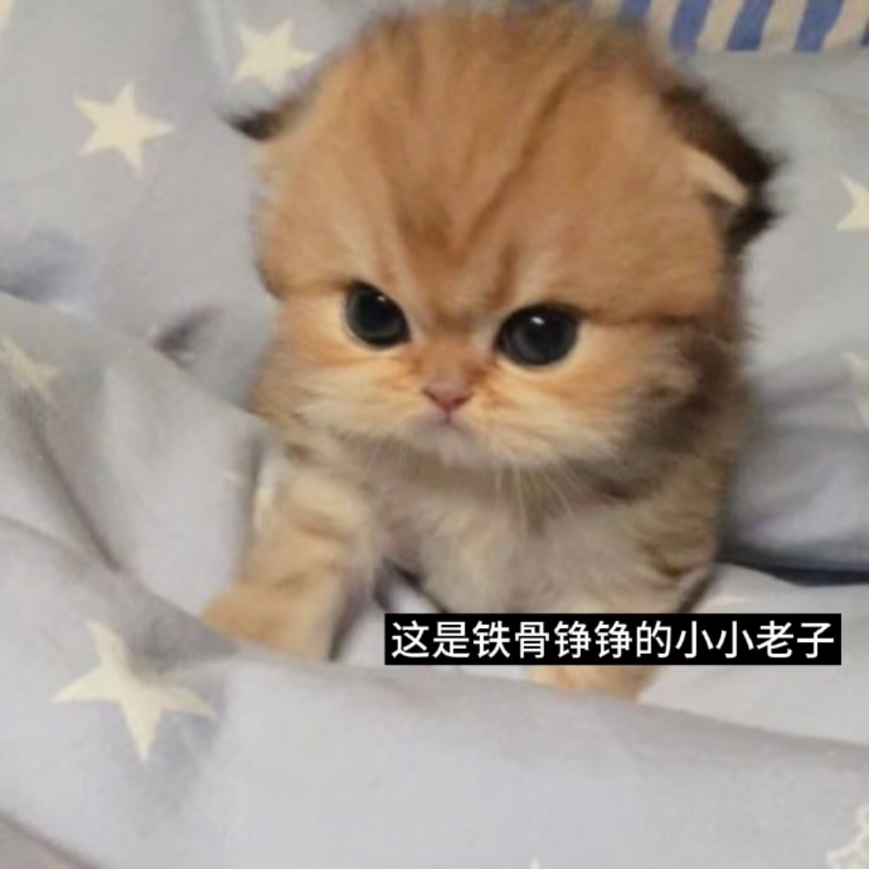 这个月互动榜没我是因为我放过了这个榜十五天，下个月你们等着看吧！我要夺回属于我的