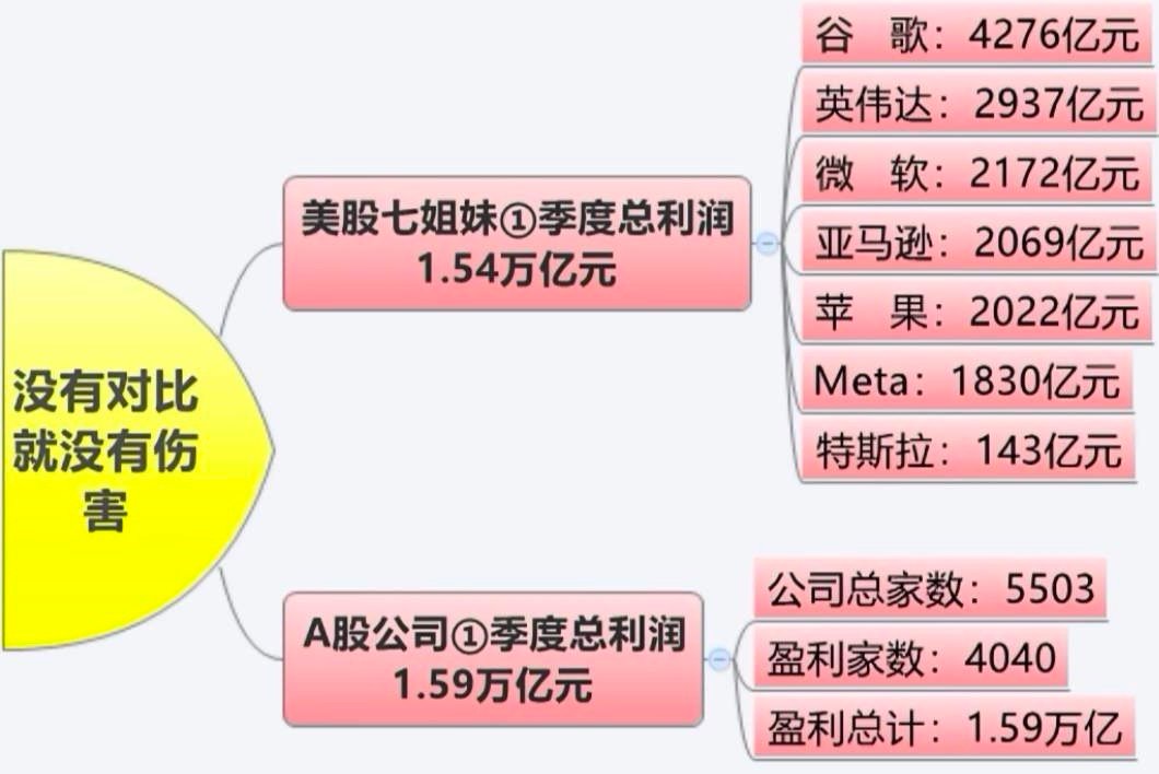 这7家公司占了美股市值百分之30。美股还有百分之15不是本土上市企业。a股市值1