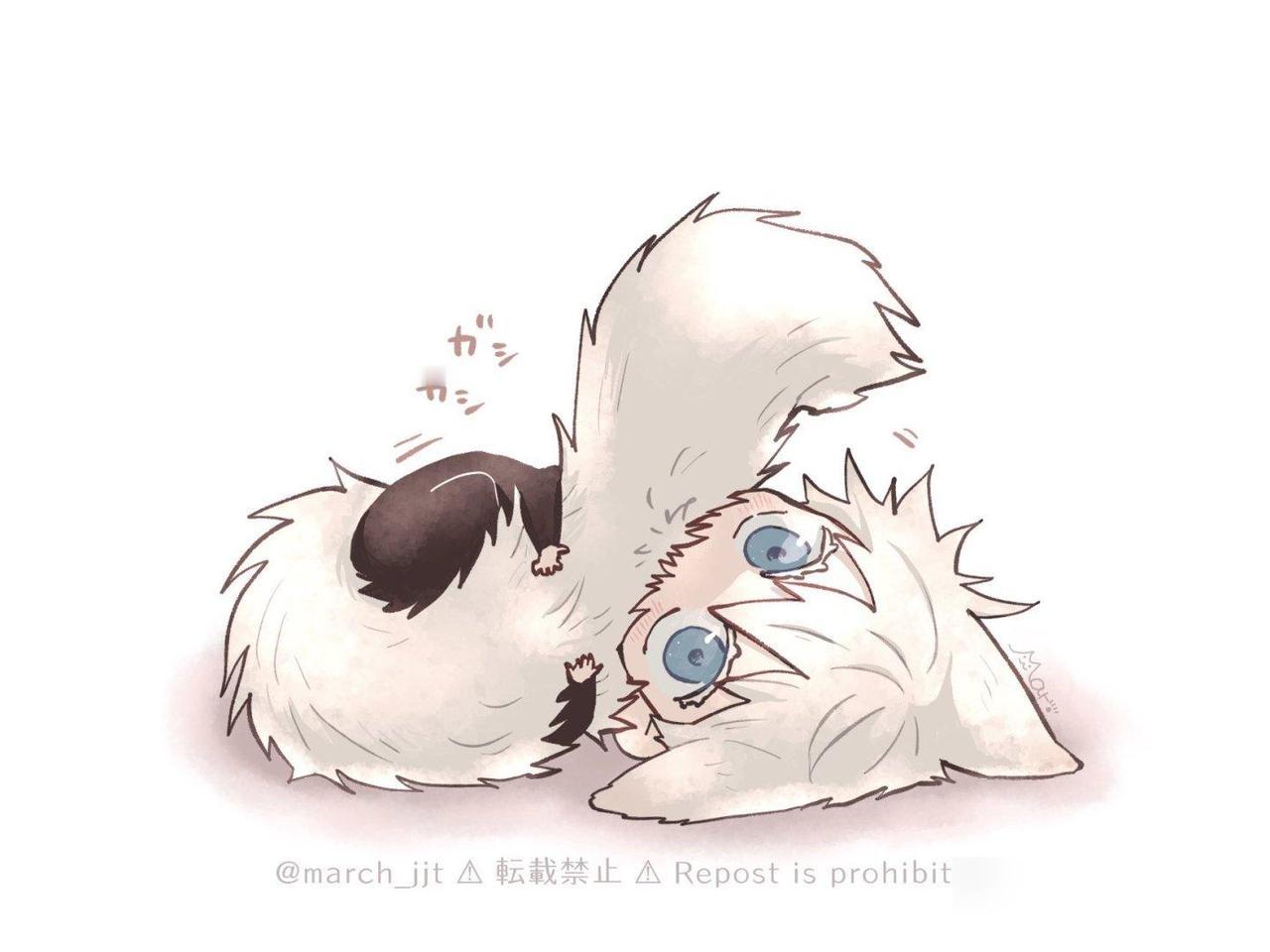 悟猫猫

#咒术回战#