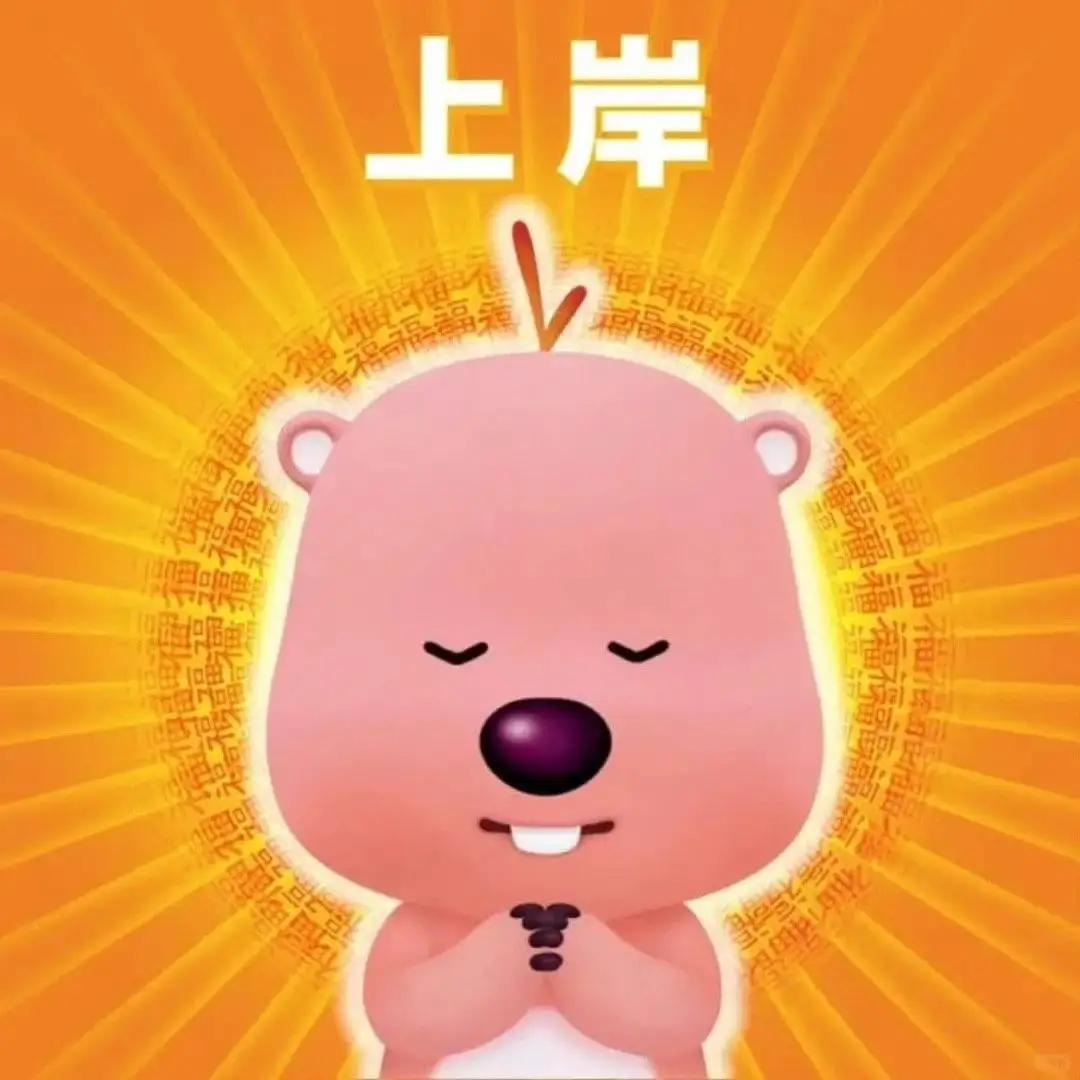 昨天儿子的考研复试成绩在学校的官网上发布了。其实没有什么悬疑，儿子成功拟录取。