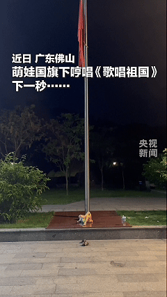 “解释不清了！”广东佛山，一小男孩随爸爸散步，他躺到国旗台下，仰着头唱起了歌，原