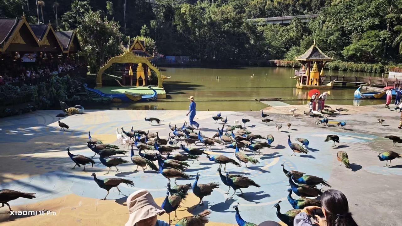 随手拍，记录生活每一个美好瞬间，你不经意，或许是别人想看到。