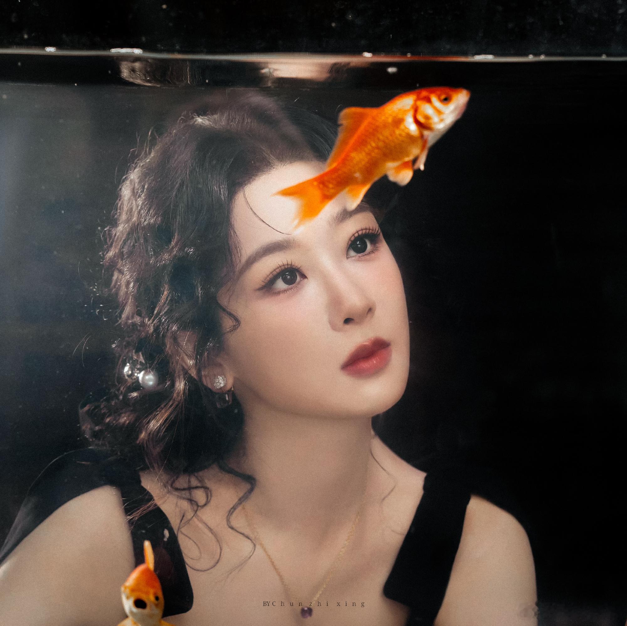杨紫 yz杨紫生命树yz杨紫白菊爱从不曾保留才勇敢了我【杨紫🔸生命树🔸白菊】
