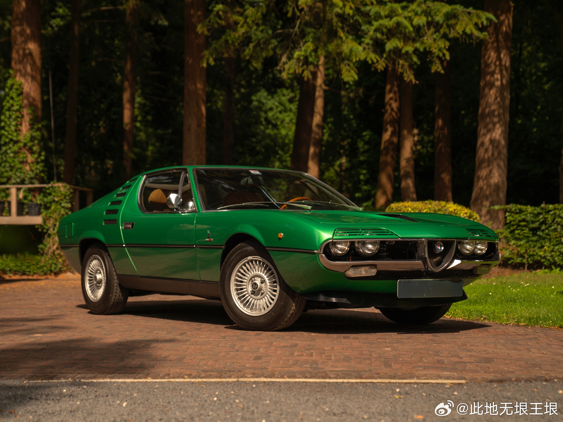 大V聊车 1967年的蒙特利尔世博会上，阿尔法罗密欧展出了这款有点像兰博基尼的世