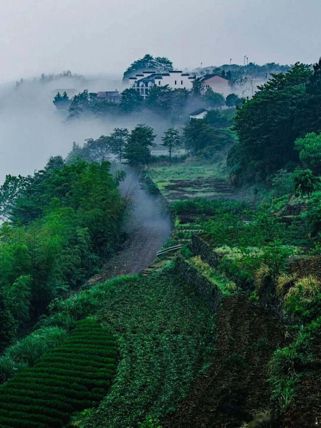 五一后半段别宅家！这几个江南小城高铁直达，人少景美还治愈～• 绍兴新昌：50分钟