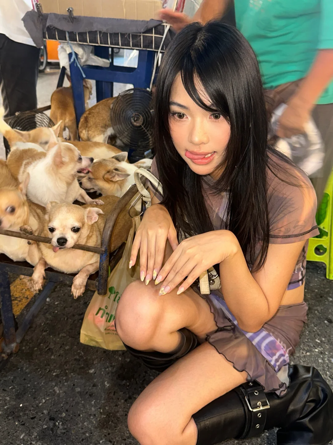 ՞•･•՞🐾🥵