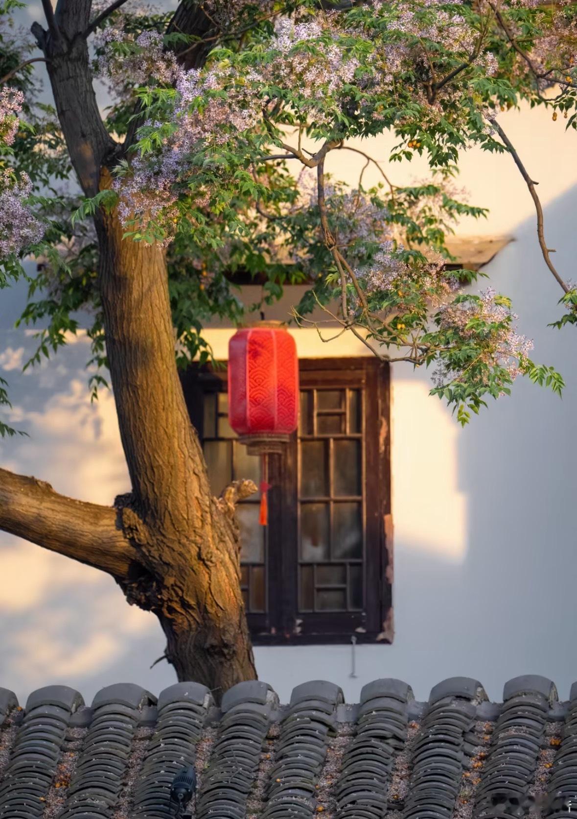 【女生什么样的八字，更容易“上嫁”？】为什么有的人结婚只是换了个对象，有的人却像