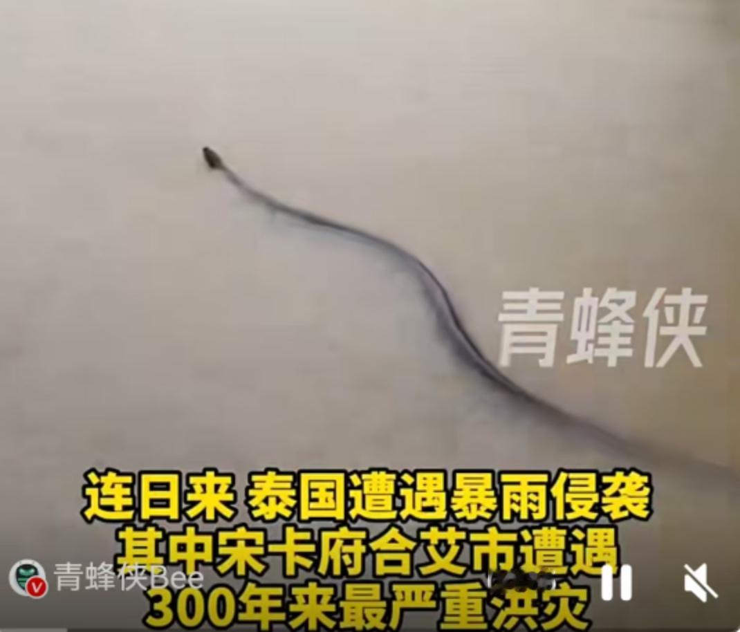 一场突如其来的特大洪水，让泰国南部陷入了300年来最严峻的考验。11月25日，宋