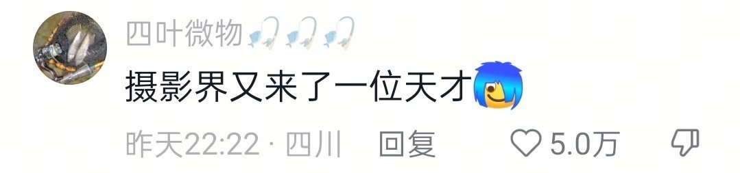 摄影界来了一个天才摄影界来了一位天才