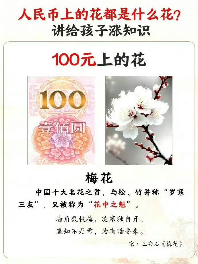 第五套人民币上，每一张都印有专属名花，自带千年诗意：
▫️100元｜梅花｜花中之