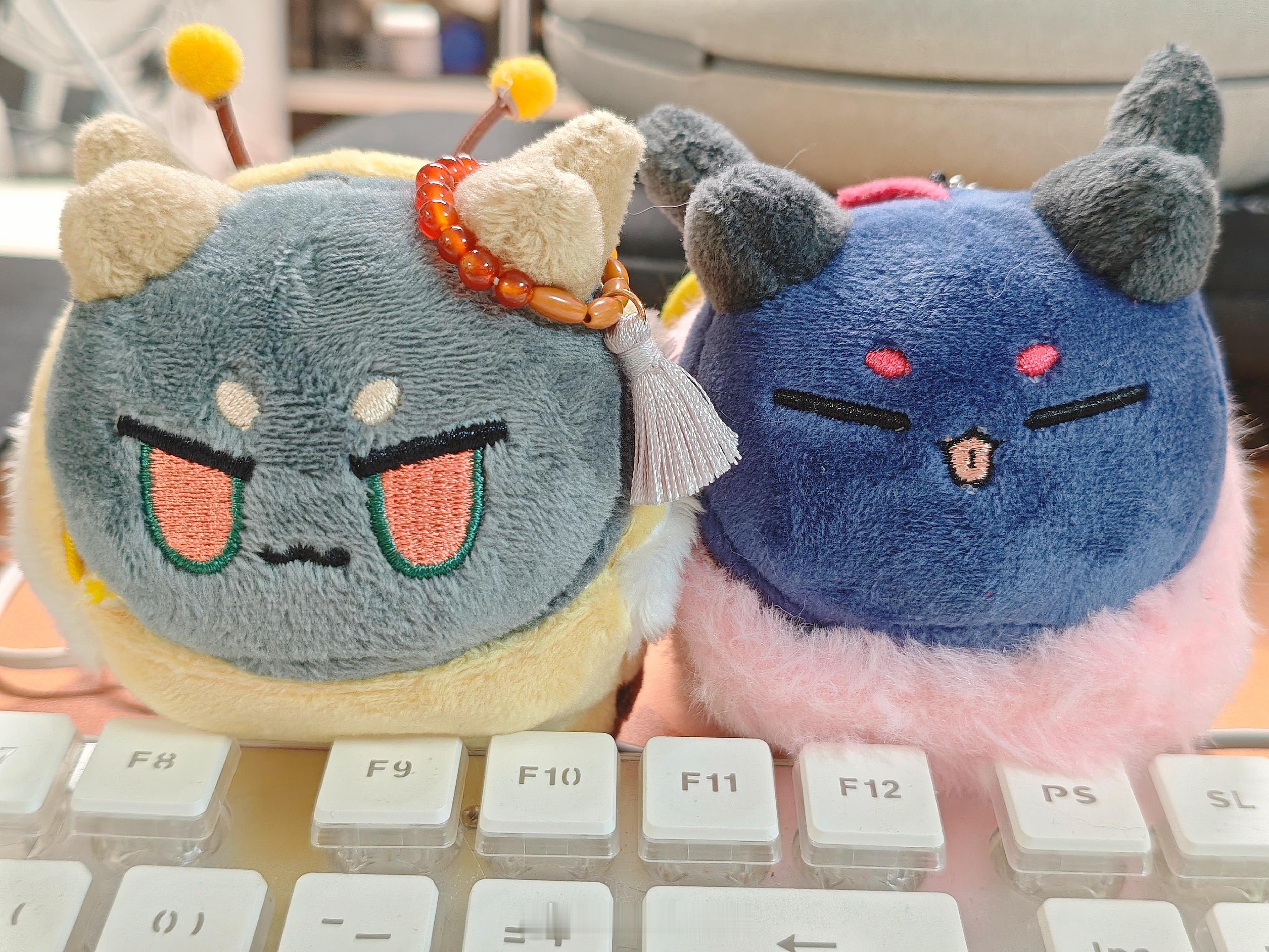 底迪来陪锅锅 