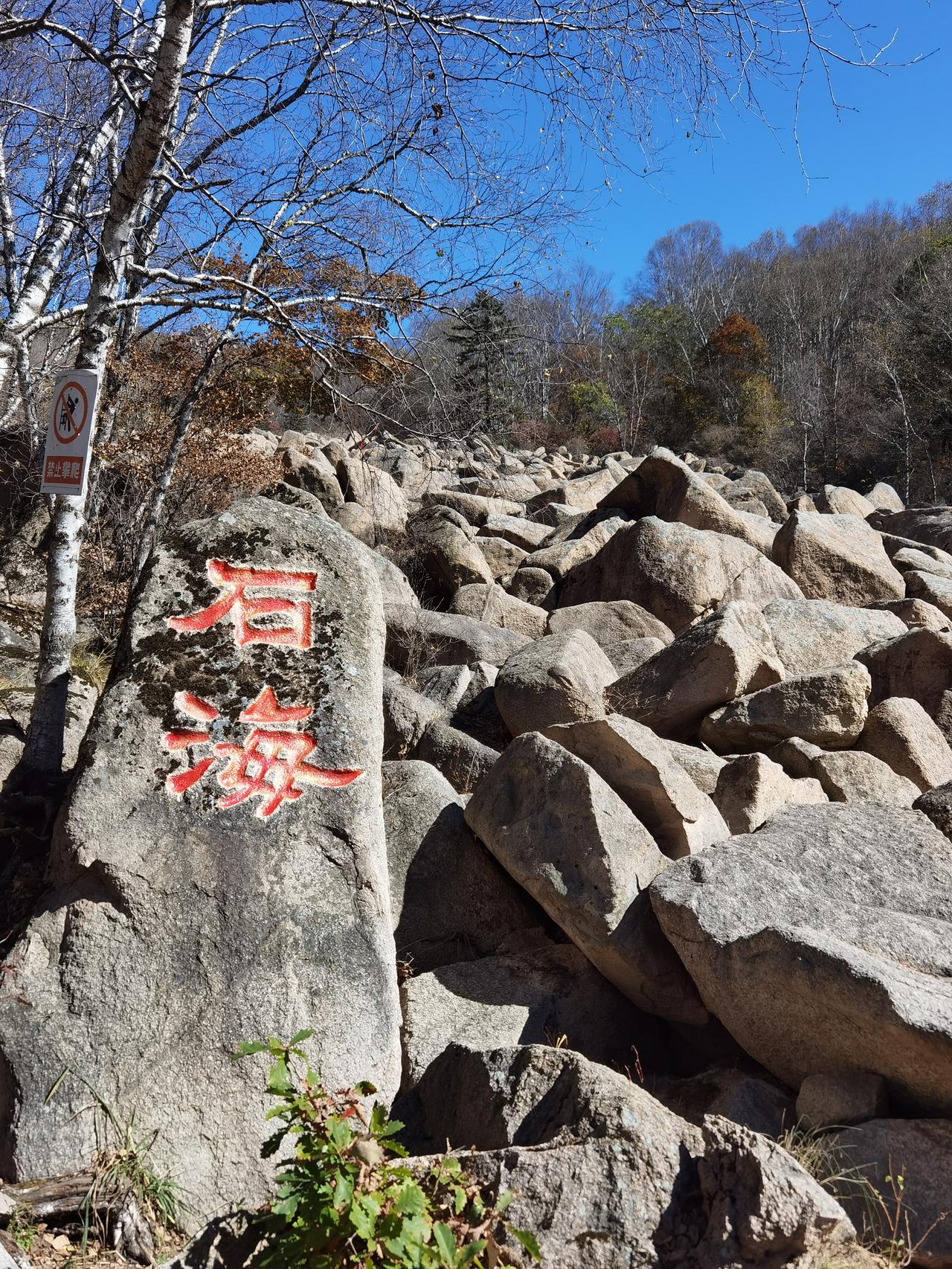 北大山石海很美 ，但管理很差。

北大山石海位于承德县磴上乡北大山林场，距离承德